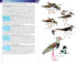 Birds of West Indies, kenttäversio - Raffaele ym. 2nd edition 2020